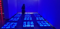 作品「藍色九宮格 無聲的嘆息」   燈箱內以廢棄物塑造海洋生物型態