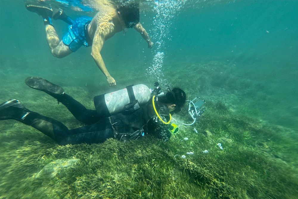 高科大海環系陳建志老師研究團隊於海草床進行水下調查，蒐集海草及沉積物樣本，解開海草床「隱形藍碳」機制。
