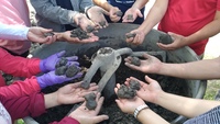 自己的房子自己蓋！泥岩土、砂、粗糠當材料 高科大學生與社區共創自然建築