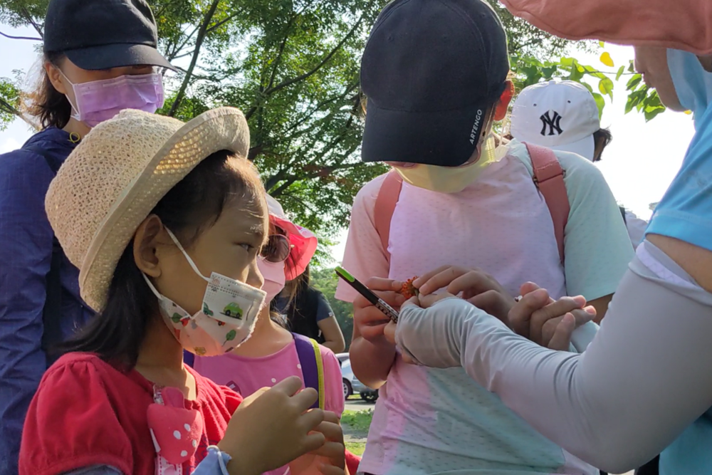 學員們品嚐構樹果實，紛紛表示吃起來像百香果，味道酸中帶甜